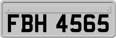 FBH4565