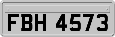 FBH4573