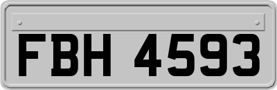 FBH4593