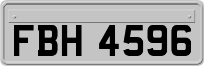 FBH4596