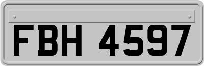 FBH4597