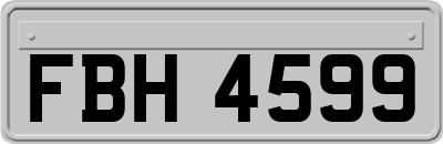 FBH4599