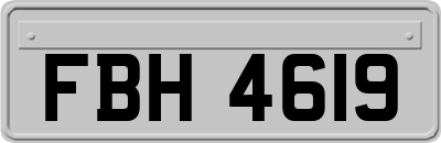 FBH4619