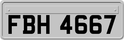FBH4667