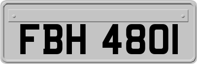 FBH4801