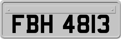 FBH4813