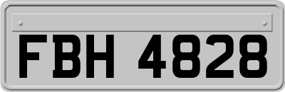 FBH4828
