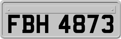 FBH4873