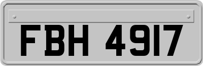 FBH4917