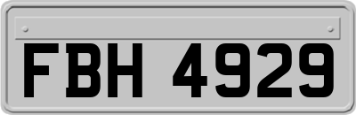 FBH4929