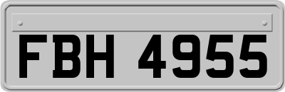 FBH4955