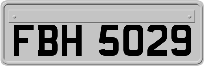 FBH5029