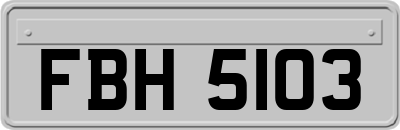 FBH5103