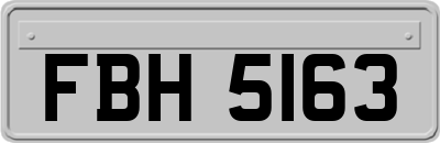 FBH5163
