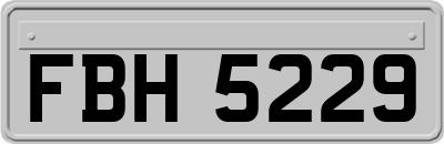 FBH5229