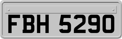 FBH5290