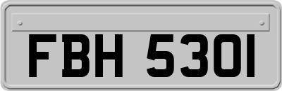 FBH5301