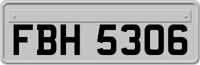 FBH5306