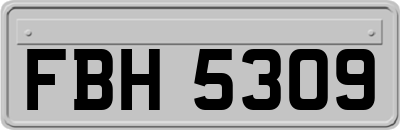 FBH5309