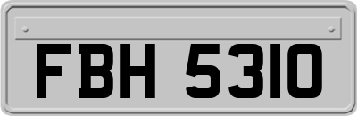 FBH5310