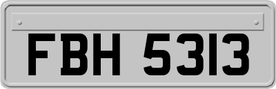 FBH5313