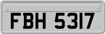 FBH5317