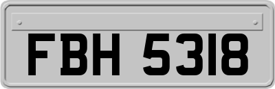 FBH5318