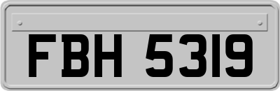 FBH5319