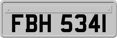 FBH5341