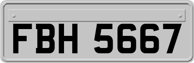 FBH5667