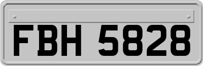 FBH5828