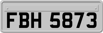 FBH5873