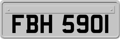 FBH5901