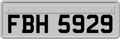 FBH5929