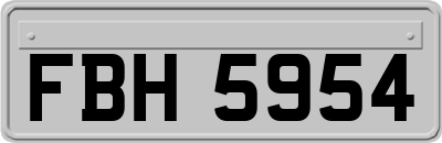 FBH5954