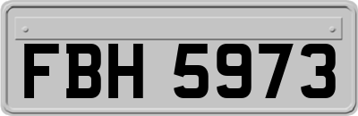 FBH5973