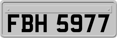FBH5977