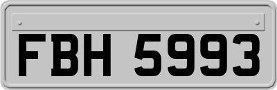 FBH5993