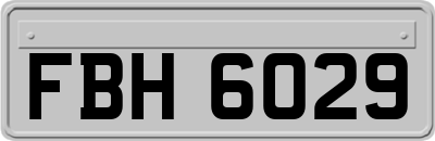 FBH6029