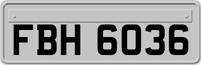 FBH6036