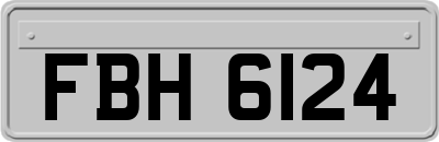 FBH6124
