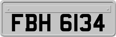 FBH6134