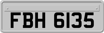 FBH6135
