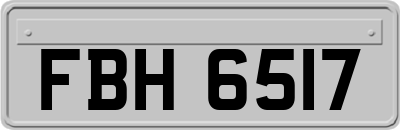 FBH6517