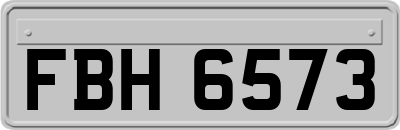 FBH6573