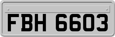 FBH6603