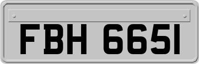 FBH6651