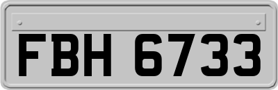 FBH6733