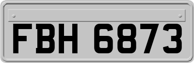 FBH6873