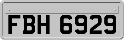 FBH6929